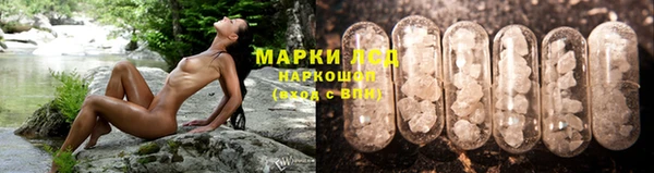 гидропоника Нея